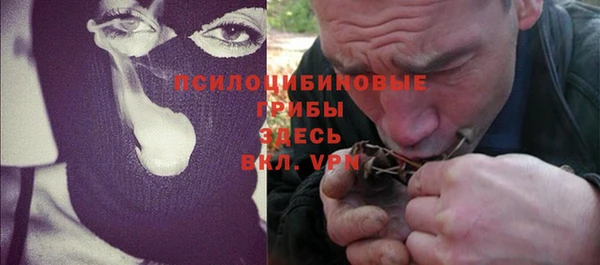 гашик Сафоново