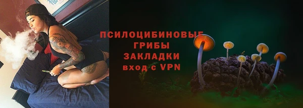 прущая мука Лабытнанги