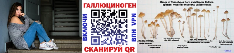 Псилоцибиновые грибы Psilocybe  omg ссылка  Харабали 